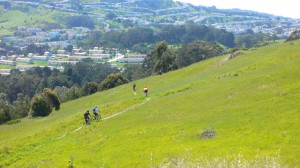 hillside