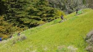 uphill-push