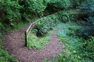 billstrail billstrail