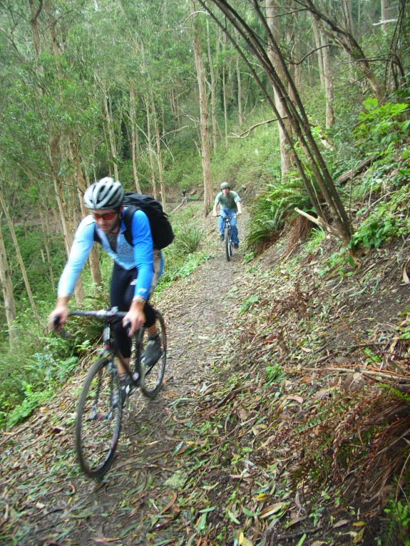Sutro Trail Sutro Trail