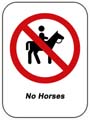 NoHorses NoHorses
