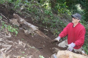 Incoming…Dan Schneider catching big rocks on the interior greenbelt trail